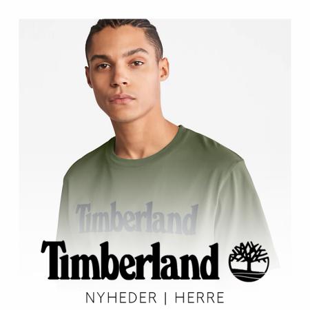 Timberland katalog | Nyheder | Herre | 5.8.2022 - 4.10.2022