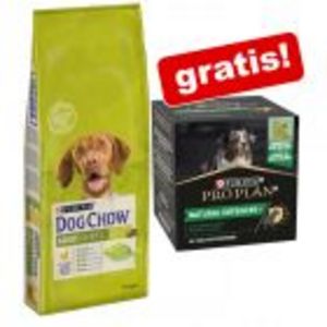 14 kg Purina Dog Chow + Adult & Senior Natural Defences Supplement gratis! på tilbud til 289,9 kr. hos Zooplus DK