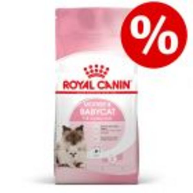 SÆRPRIS! 1 pose Royal Canin killingefoder på tilbud til 27,9 kr. hos Zooplus DK