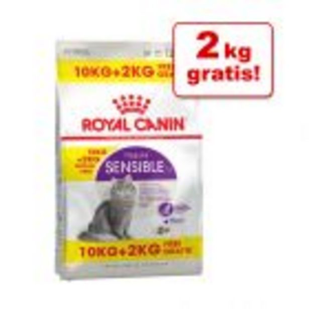 10 + 2 kg gratis! 12 kg Royal Canin kattefoder på tilbud til 519,9 kr. hos Zooplus DK